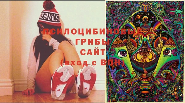 гидра Балахна