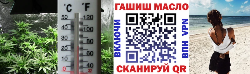 Дистиллят ТГК Wax  дарнет шоп  mega как зайти  Купино 
