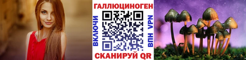 мега ТОР  Купино  Псилоцибиновые грибы GOLDEN TEACHER  как найти  